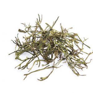 Alga Percebe Fresca en Sal