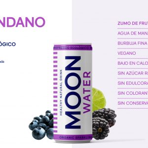 Refresco Natural Moon Water Mora-Arándanos 250 ml x 24