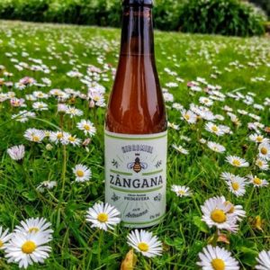 Pack 24 botellas Hidromiel Zángana Primavera