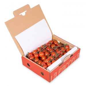 TOMATE CHERRY RAMA 3KG