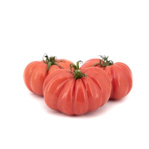 MONTEROSA® – 3,5KG
