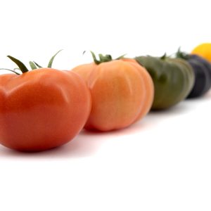 TOMATE MELANGE – 1,5KG