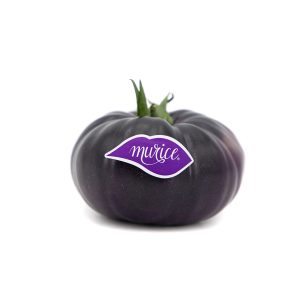 TOMATE ASURCADO ANTOCIANO – 1KG