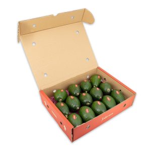 AGUACATE BACON – 4KG