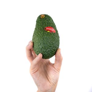 AGUACATE HASS – 4KG