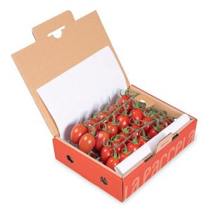 CHERRY PERA RAMA – 1KG