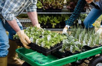 Cómo seleccionar proveedores sostenibles para tu empresa: guía de criterios y mejores prácticas