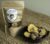 Shiitake deshidratado