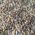Grano Limpio de Trigo Florencio Aurora Ecológico 5 kg
