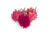 PITAHAYA PURPURA – 3KG