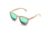 Gafas Livegens Green Tropic